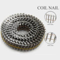 Neue Design Large Head Nails aus China